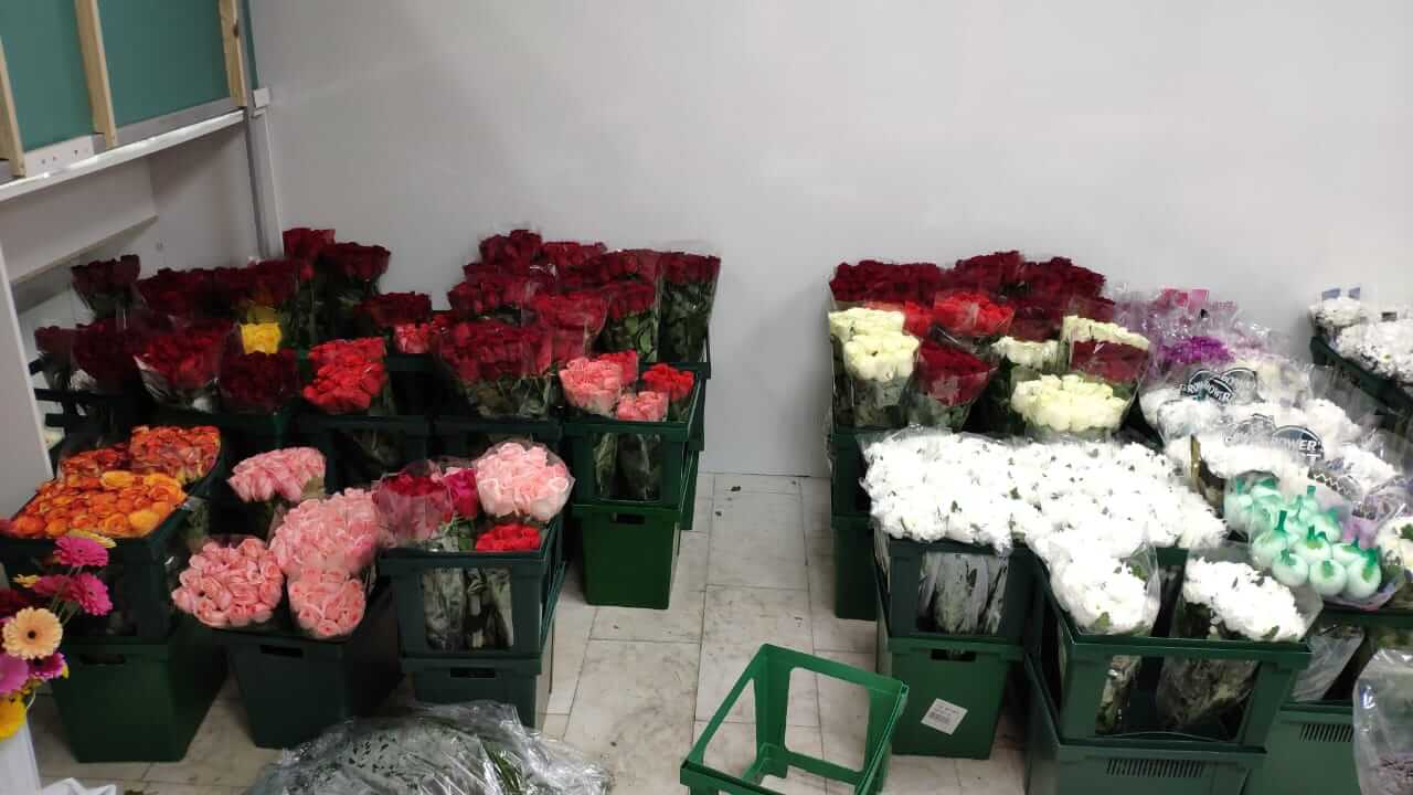 Розы во вторую неделю хранения в холодильнике одного из наших клиентов