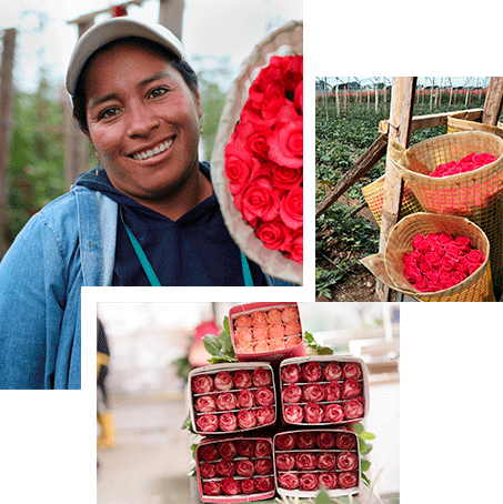 Партнёры цветочного брокера