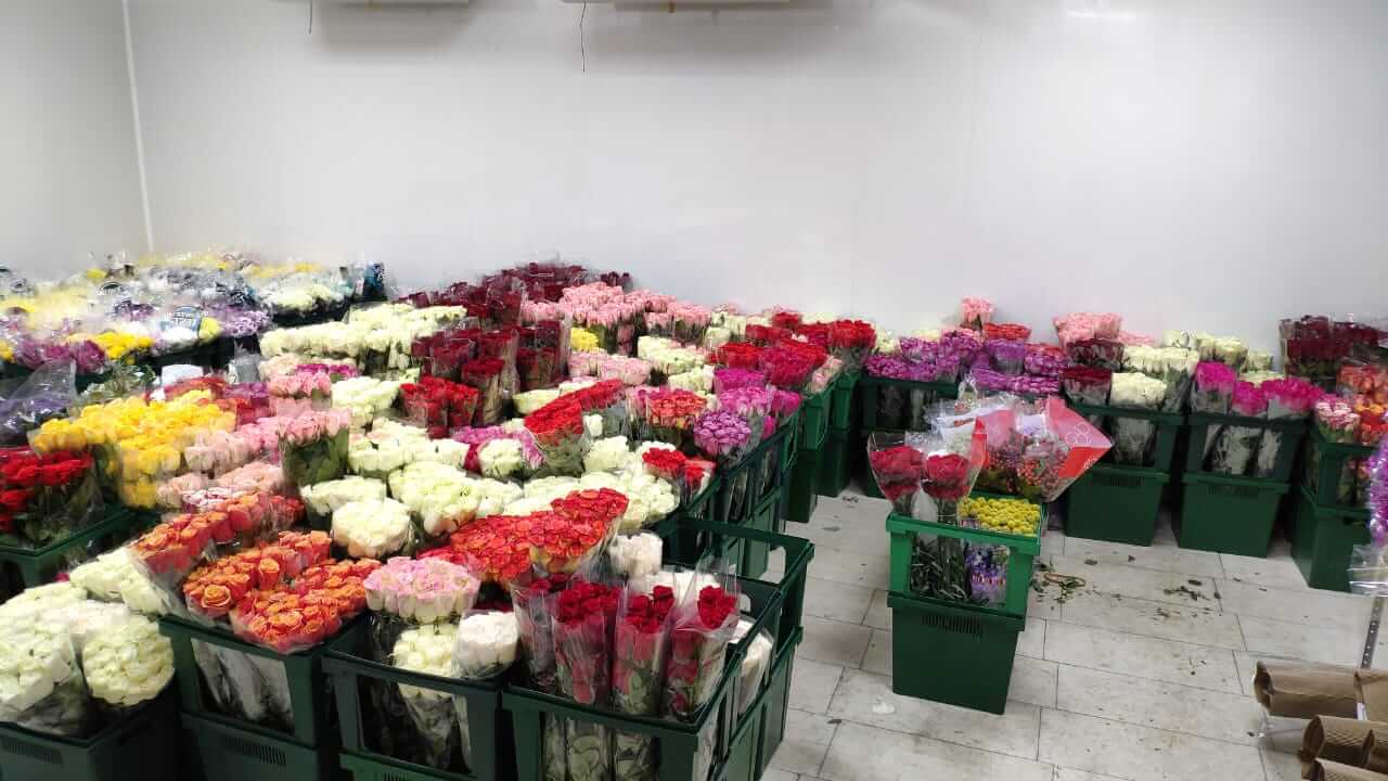 Розы и другие цветы в холодильнике магазина на хранении